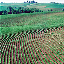 Precision Agriculture